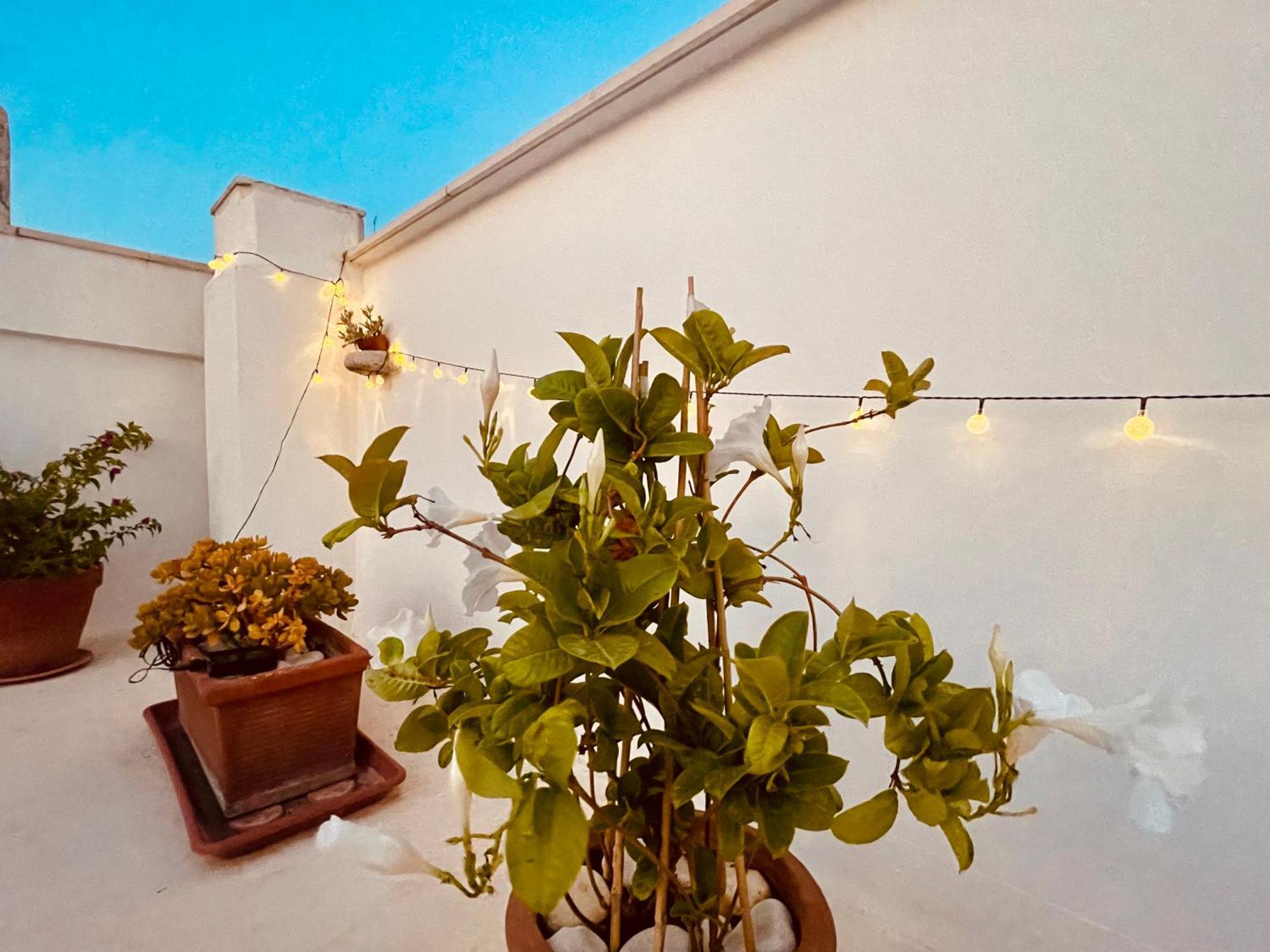 Le Nicchie Villa Bisceglie Exteriör bild